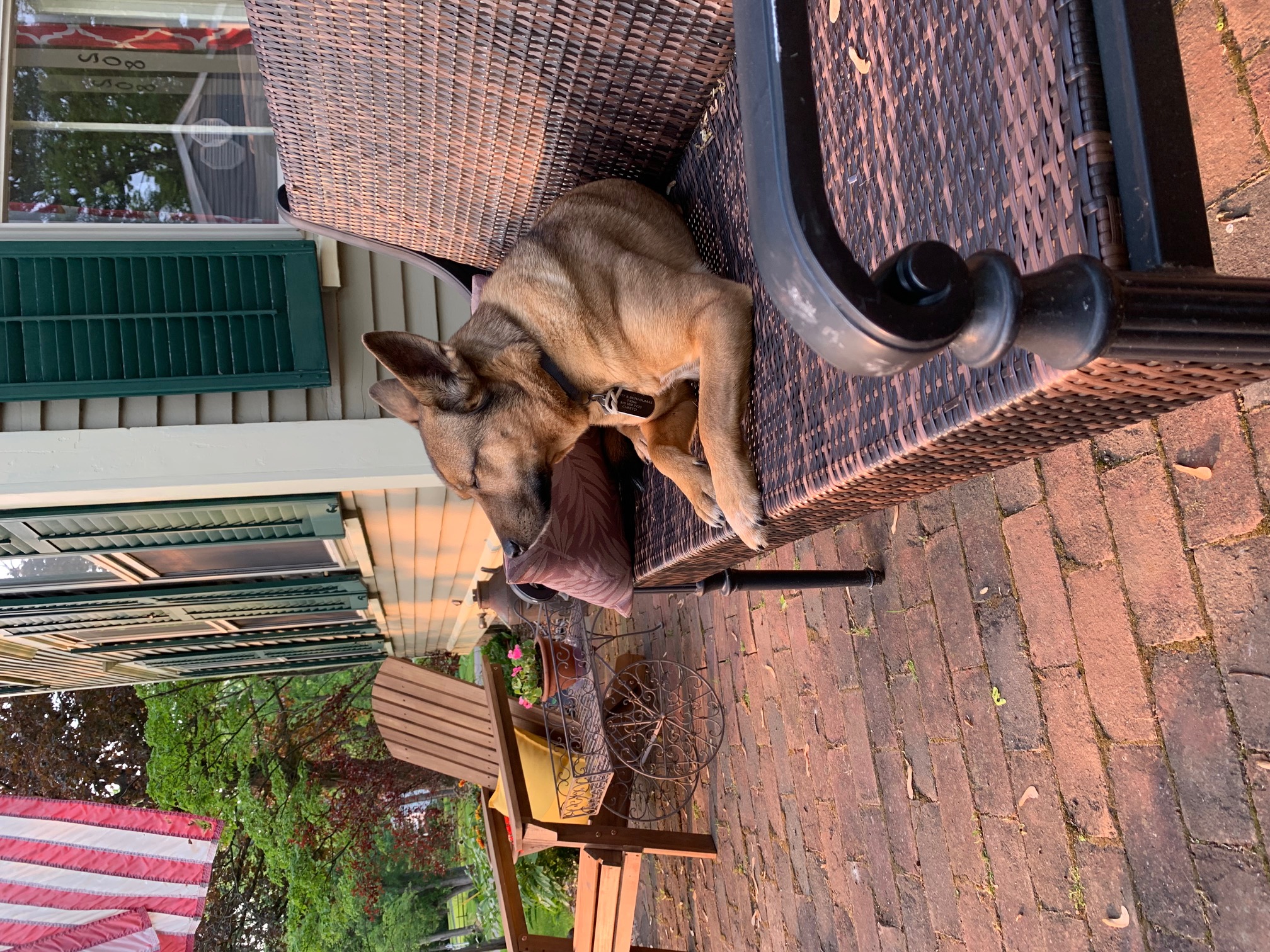 Cheeto enjoying life